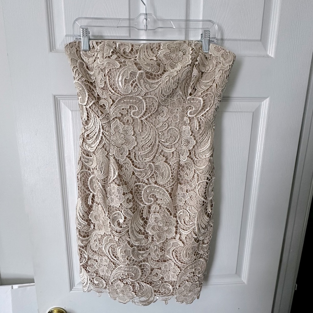 Adrianna Papell Womens Taupe lace mini Evening  Gown 10P prom wedding sleeveless